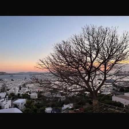 Villa Blumelein Mykonos Town